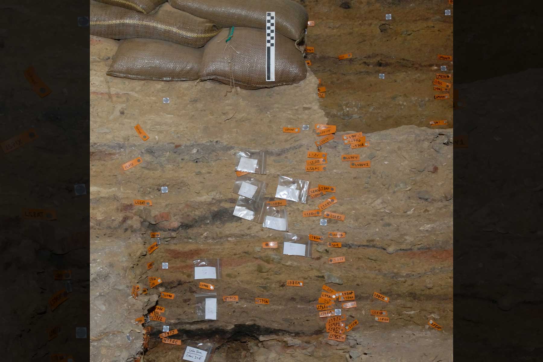 21 Evidence for fire use • Human